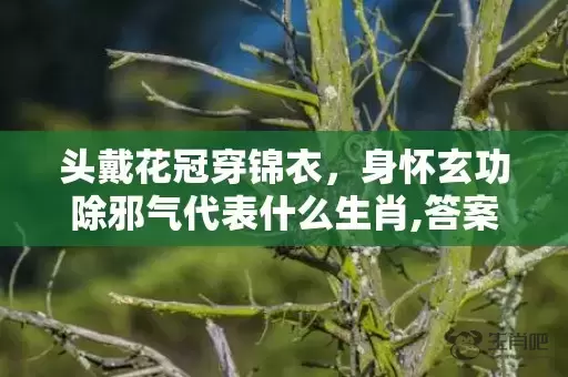 头戴花冠穿锦衣，身怀玄功除邪气代表什么生肖,答案曝光落实插图