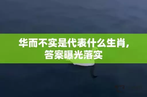 华而不实是代表什么生肖,答案曝光落实插图