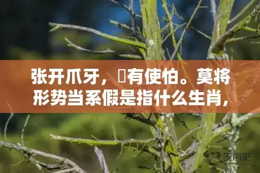 张开爪牙，冇有使怕。莫将形势当系假是指什么生肖,答案曝光落实插图