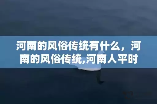 河南的风俗传统有什么，河南的风俗传统,河南人平时都有哪些风俗习惯？包括平时喜欢干什么？喜欢吃什么？主要信奉什么宗教？哪个少数民族比较多？笼统说插图