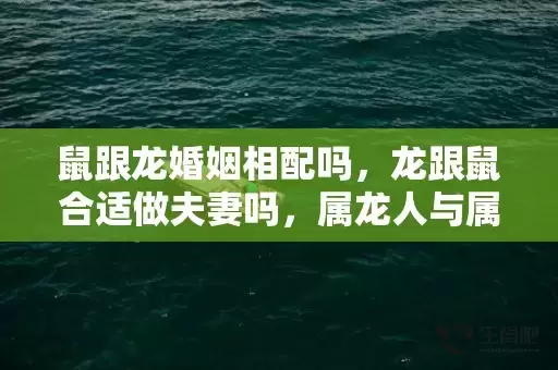 鼠跟龙婚姻相配吗，龙跟鼠合适做夫妻吗，属龙人与属鼠人婚配指数插图