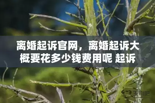 离婚起诉官网，离婚起诉大概要花多少钱费用呢 起诉离婚费用插图