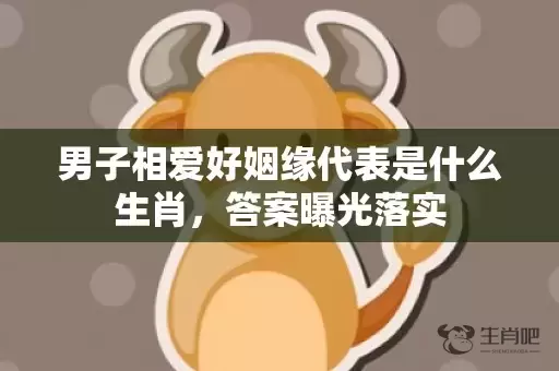 男子相爱好姻缘代表是什么生肖，答案曝光落实插图