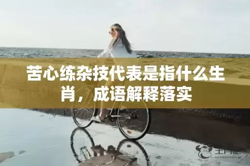 苦心练杂技代表是指什么生肖，成语解释落实插图