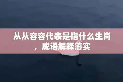 从从容容代表是指什么生肖，成语解释落实插图