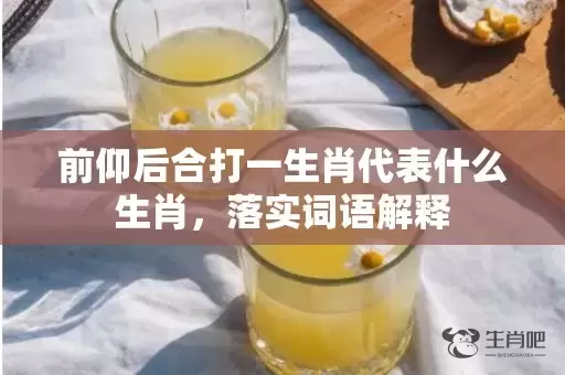 前仰后合打一生肖代表什么生肖，落实词语解释插图