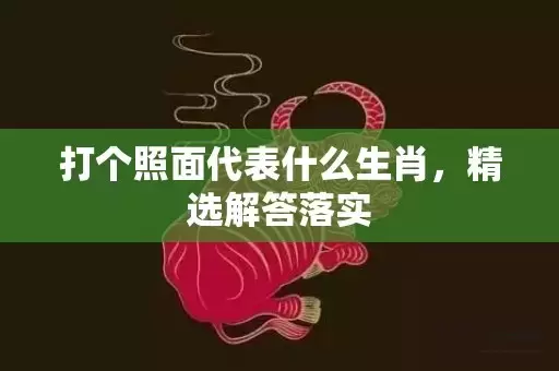 打个照面代表什么生肖，精选解答落实插图