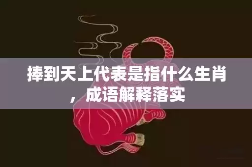 捧到天上代表是指什么生肖，成语解释落实插图