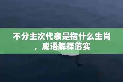 不分主次代表是指什么生肖，成语解释落实插图