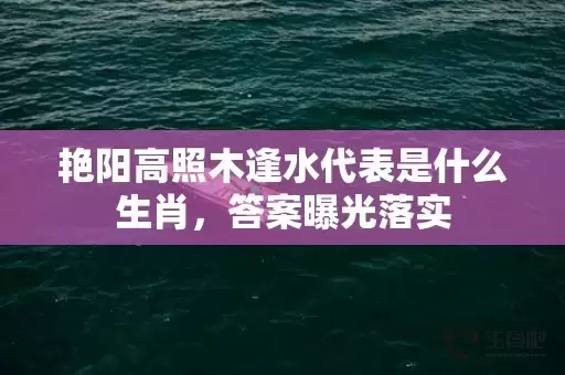 艳阳高照木逢水代表是什么生肖，答案曝光落实插图