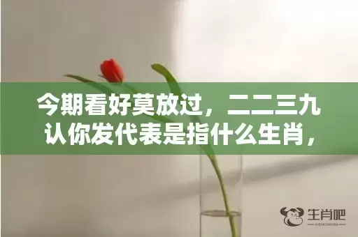 今期看好莫放过，二二三九认你发代表是指什么生肖，成语解释落实插图