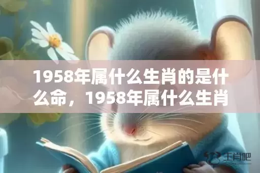 1958年属什么生肖的是什么命，1958年属什么生肖属相插图