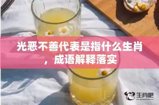 光恶不善代表是指什么生肖，成语解释落实插图