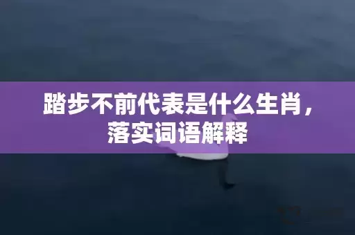 踏步不前代表是什么生肖，落实词语解释插图