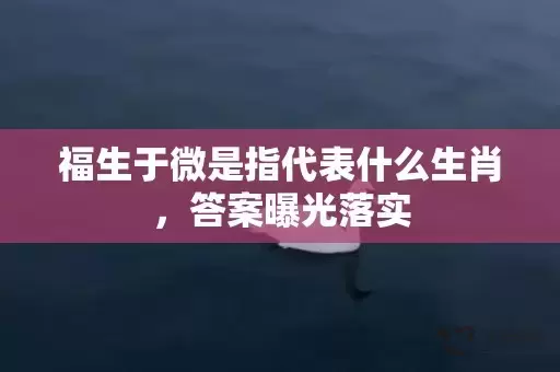 福生于微是指代表什么生肖，答案曝光落实插图