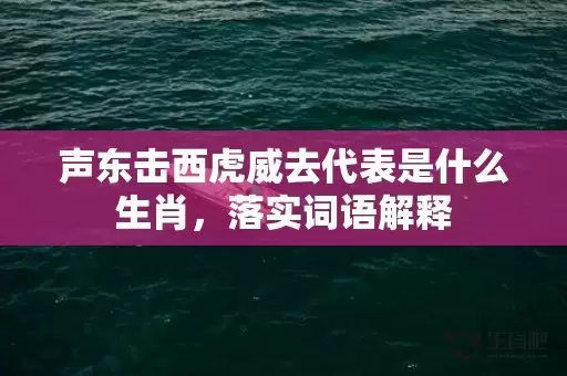 声东击西虎威去代表是什么生肖，落实词语解释插图