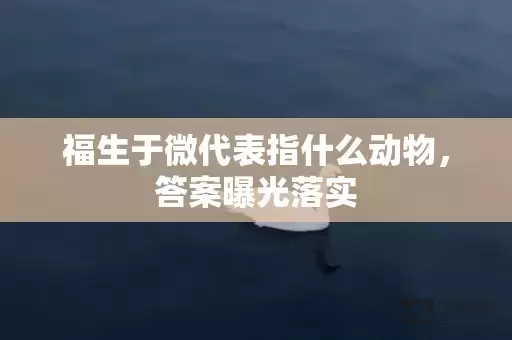 福生于微代表指什么动物，答案曝光落实插图