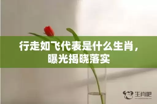 行走如飞代表是什么生肖，曝光揭晓落实插图