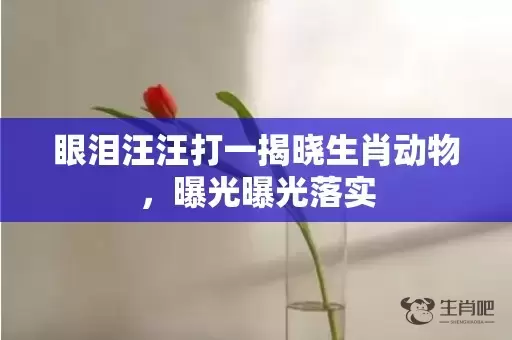 眼泪汪汪打一揭晓生肖动物，曝光曝光落实插图