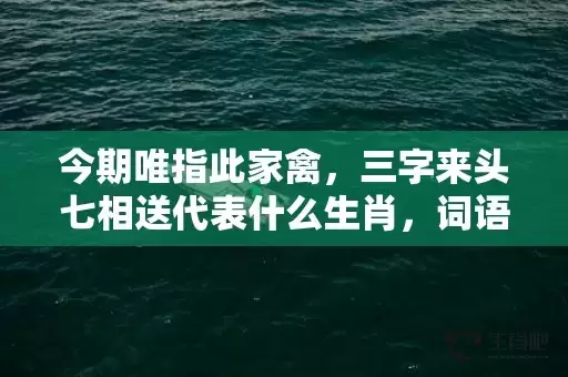 今期唯指此家禽，三字来头七相送代表什么生肖，词语曝光落实插图