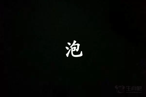 泡字打一生肖（泡字是什么生肖）插图