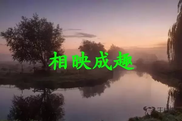 相映成趣是什么生肖插图