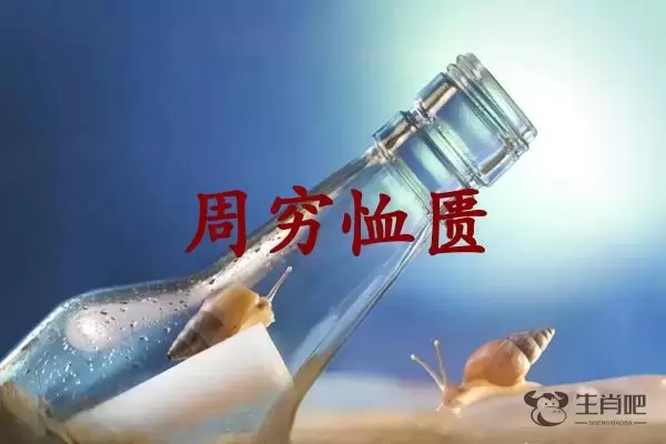 周穷恤匮是什么生肖插图