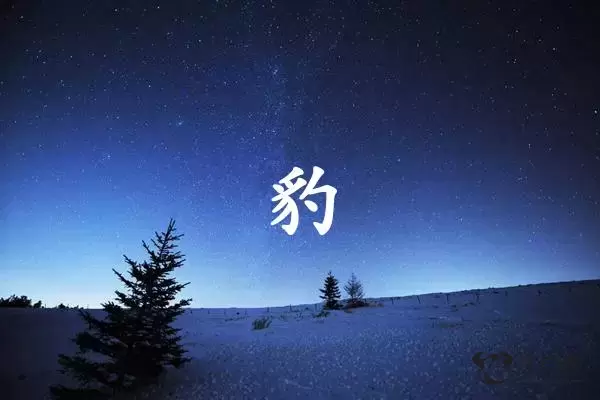 豹字打一生肖（豹字是什么生肖）插图