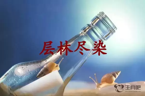 层林尽染是什么生肖插图