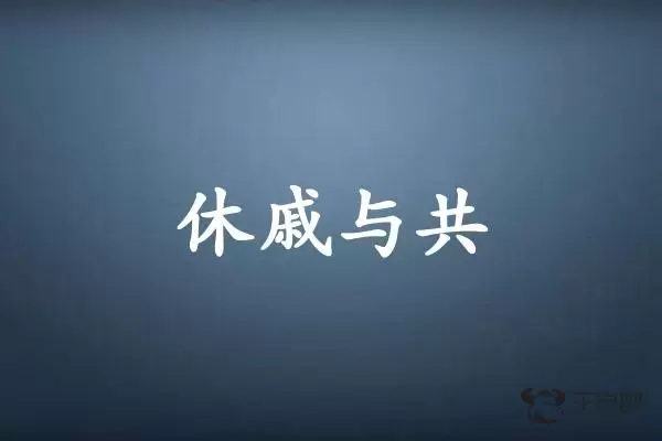 休戚与共是什么生肖插图